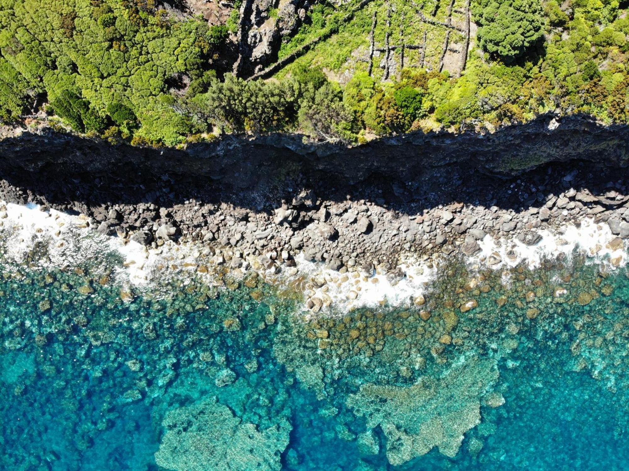 Lava Homes Santo Amaro  Dış mekan fotoğraf